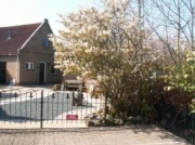 Voorbeeld afbeelding van Bungalow, vakantiehuis 't Achterhuus in Ballum (Ameland)