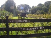 Voorbeeld afbeelding van Kamperen Natuurdomein De Landerije in Basse
