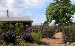 Vergrote afbeelding van Huurtent De Historische Groentehof (slapen bij de boer) in Beesel
