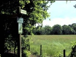 Tweede extra afbeelding van Groepsaccommodatie Natuurvriendenhuis Morgenrood in Oisterwijk