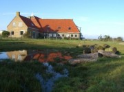 Voorbeeld afbeelding van Bungalow, vakantiehuis Kobbedunen in Ballum (Ameland)