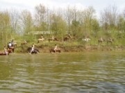 Voorbeeld afbeelding van Paardrijden, Manege Hippisch Centrum Rosworld in Zeijen