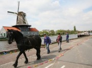 Voorbeeld afbeelding van Rondvaart, Boottocht Trekvaart Leiden-Delft-Den Haag in Den Haag