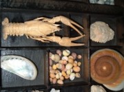 Voorbeeld afbeelding van Museum, Galerie, Tentoonstelling Vindselmuseum  in Amersfoort