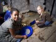 Voorbeeld afbeelding van Attractie, bezienswaardigheid Expeditie Ecodrome Zwolle in Zwolle