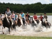 Voorbeeld afbeelding van Paardrijden, Manege Ruitercentrum‘t Fjordenpaard in Een
