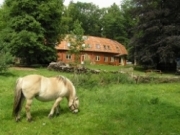 Voorbeeld afbeelding van Bed and Breakfast Pension Groenewoud in Swalmen