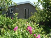 Voorbeeld afbeelding van Bungalow, vakantiehuis Salak in Buren(Ameland)