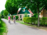 Voorbeeld afbeelding van Bungalow, vakantiehuis Landal Duc de Brabant in Diessen-Baarschot