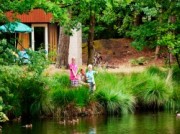 Voorbeeld afbeelding van Bungalow, vakantiehuis Landal Het Vennenbos in Hapert