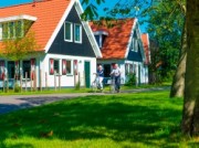 Voorbeeld afbeelding van Bungalow, vakantiehuis Landal Resort Haamstede in Burgh-Haamstede