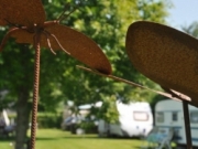 Voorbeeld afbeelding van Kamperen Camping Noordlaren in Noordlaren