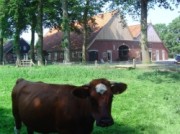 Voorbeeld afbeelding van Bijzonder overnachten Erfgoed Bossem in Lattrop Breklenkamp