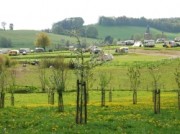 Voorbeeld afbeelding van Kamperen Landschapscamping Alleleijn in Epen