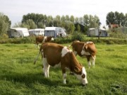 Voorbeeld afbeelding van Hotel Boerderij Hazenveld B&B en minicamping in Kockengen