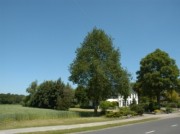 Voorbeeld afbeelding van Bed and Breakfast Herberg van Een in Een