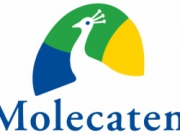 Voorbeeld afbeelding van Kamperen Molecaten Park De Agnietenberg in Zwolle