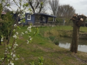 Voorbeeld afbeelding van Bungalow, vakantiehuis Van Zweeden Verhuur - De Weide Blick in Biggekerke