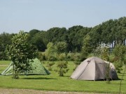 Voorbeeld afbeelding van Kamperen Minicamping De Peelhof in Erica