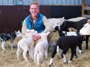 Voorbeeld afbeelding van Huurtent FarmCamps Fleur Stables in Oudesluis
