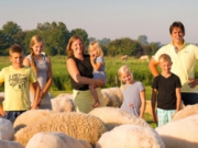Voorbeeld afbeelding van Huurtent FarmCamps Mariekerke in Meliskerke
