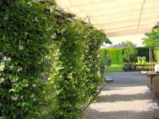 Voorbeeld afbeelding van Bungalow, vakantiehuis Durpshuuske in Merkelbeek