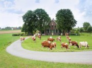 Voorbeeld afbeelding van Appartement Sint Nicolaashoeve in Nieuwveen
