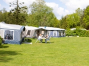 Voorbeeld afbeelding van Kamperen Camping de Kriemelberg in Ermelo
