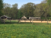 Voorbeeld afbeelding van Bungalow, vakantiehuis De Jachthoeve in Hengelo Gld