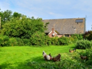 Voorbeeld afbeelding van Bungalow, vakantiehuis Het Vosje in Odoornerveen