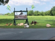 Voorbeeld afbeelding van Kamperen Camping `t Oudewillemsveldt in Oude Willem