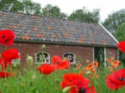 Voorbeeld afbeelding van Bungalow, vakantiehuis 't Kruudhuuske in Aalten