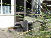 Voorbeeld afbeelding van Appartement Luxe huisje aan Zee in Callantsoog