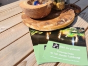 Voorbeeld afbeelding van Bed and Breakfast B&B/Studio de palmen in Afferden Lb