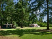Voorbeeld afbeelding van Kamperen RCN Vakantiepark de Roggeberg in Appelscha