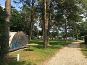 Voorbeeld afbeelding van Kamperen De Hertenhorst in Beekbergen