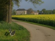 Voorbeeld afbeelding van Groepsaccommodatie De Eek in Steenderen