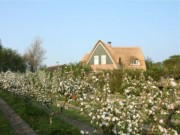 Voorbeeld afbeelding van Bed and Breakfast Heerlyckheid van Texel in De Koog (Texel)