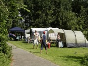 Voorbeeld afbeelding van Kamperen Molecaten Park Rondeweibos in Rockanje