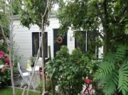 Voorbeeld afbeelding van Bed and Breakfast De Noorderling in Amsterdam