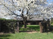 Voorbeeld afbeelding van Bungalow, vakantiehuis Rozenhofje in Asselt
