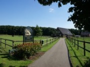 Voorbeeld afbeelding van Bungalow, vakantiehuis Recreatieoord Hippique in Westendorp