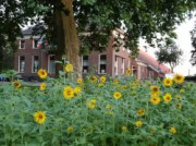Voorbeeld afbeelding van Bed and Breakfast B&B Blauwestadhoeve in Midwolda