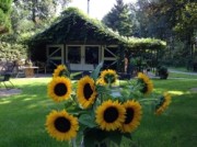 Voorbeeld afbeelding van Kamperen Natuurcamping Voscheheugte in Mantinge