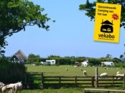 Voorbeeld afbeelding van Kamperen Boerderijcamping De Hal in Den Burg (Texel)