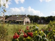 Voorbeeld afbeelding van Bungalow, vakantiehuis Bosrijk De Kuluut in Overloon