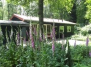 Voorbeeld afbeelding van Bungalow, vakantiehuis De Boomklever in Nutter