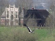 Voorbeeld afbeelding van Hotel Hotel Garni IJsselzicht in Veessen