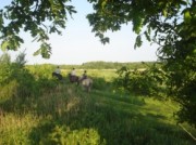 Voorbeeld afbeelding van Bed and Breakfast Gezond Boeren Verstand in Dalerveen