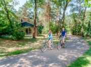 Voorbeeld afbeelding van Bungalow, vakantiehuis Landal Heihaas in Putten